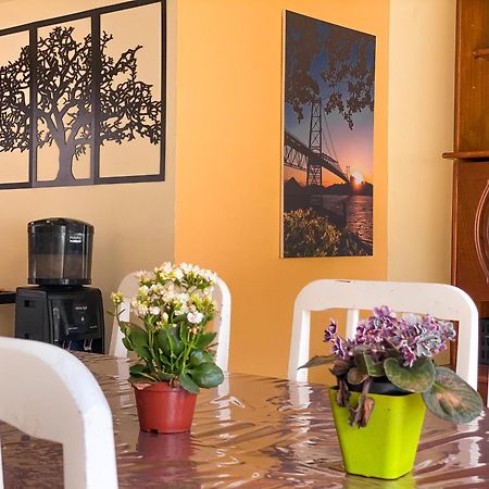 Picco Da Ilha Hostel Florianópolis Kültér fotó